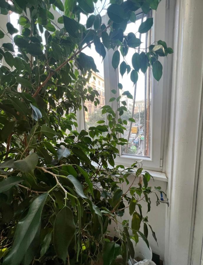 Cicerone Apartamento Roma